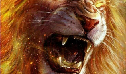 Roaring Fire Lion Wallpaper Download