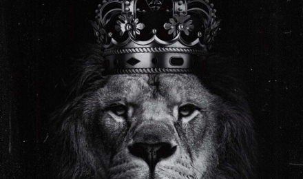 Lion Crown IPhone Wallpaper HD Wallpaper : iPhone Wallpaper. Lion wallpaper iphone, Lion HD wallpaper, iPhone wallpaper HD nature