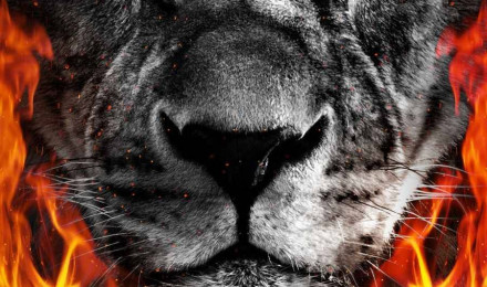 Download Black And White Fire Lion Wallpaper