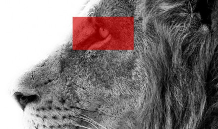 Free and customizable wallpaper lion templates