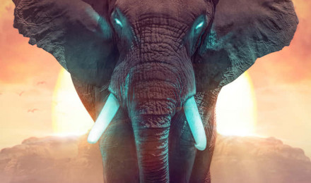 Download Cute Elephant Dream Fantasy World Digital Art Wallpaper