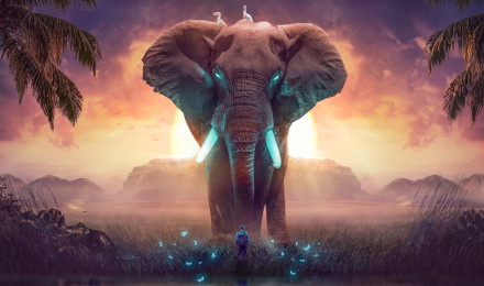 Elephant Wallpaper 4K, Dream, Mysterious, Surreal