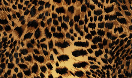 Lady Leopard Wallpaper in Golden Tan and Black