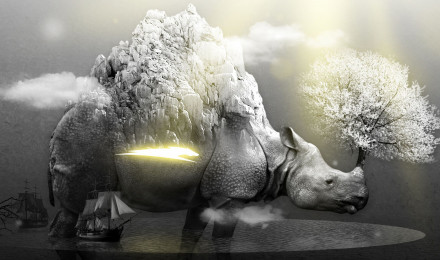 Rhino Wallpaper