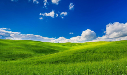 Nature Green Landscape Blue Sky HD Wallpaper