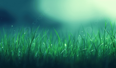 Background HD And Wallpaper The Wallpaper Of Grass And Water With The Light And Lights In The Background, Clean Picture Background Background Image And Wallpaper for Free Download