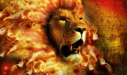 Fire Lion Wallpaper