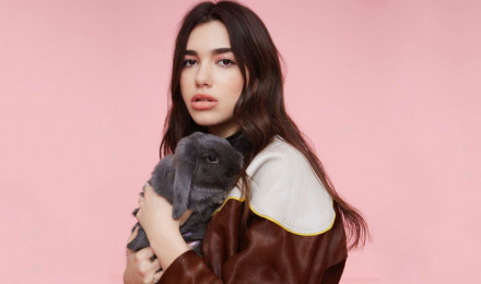 Free download Dua Lipa Wallpaper [1920x1080] for your Desktop, Mobile & Tablet. Explore Dua Lipa Wallpaper