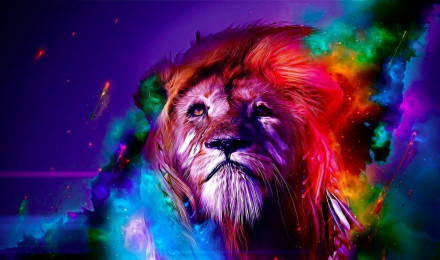 Cool Lion Wallpaper