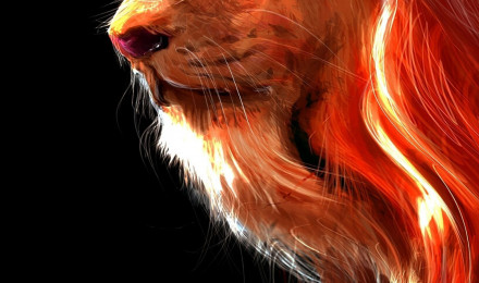 Download wallpaper 1440x2560 lion, fur, muzzle, art, qhd samsung galaxy s s edge, note, lg g 1440x2560 HD background, 22825