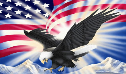 USA Eagle Wallpaper