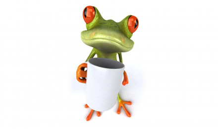 Funny Frog Wallpaper