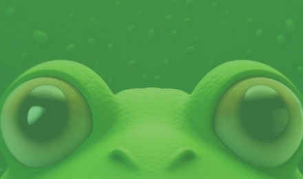 3D Frog Green Wallpaper Frog Wallpaper for iPhone