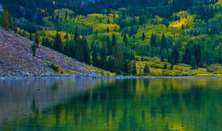 Rocky Mountains Wallpaper 4K, Lake, Green Trees, Reflection