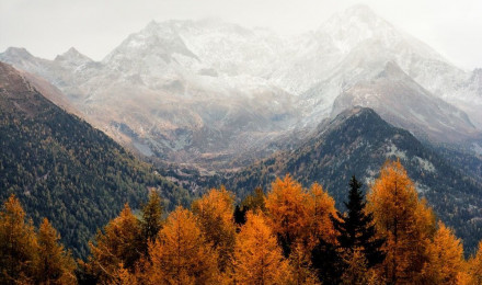 Autumn Mountain Picture. Download Free Image