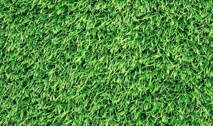 I don't have green grass in my yard due to the drought so I guess I'll have to settle for it on m. Nature iphone wallpaper, Grass wallpaper, Green wallpaper phone