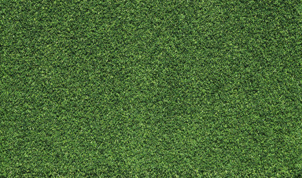 Artificial Turf Wallpaper • Fake Green Grass