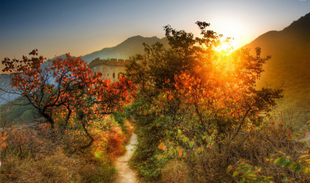 Overgrown path to the Great Wall of China wallpaper wallpaper