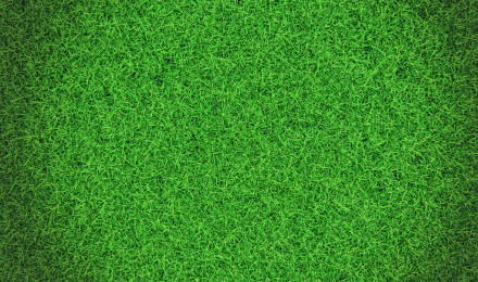 Grass Wall , Image and Background for Free Download