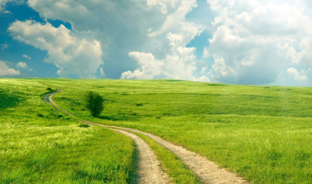 Summer Sky Field Grass Road Nature HD Wallpaper