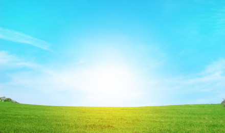 green grass and sky wallpaper