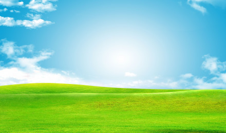 Sky Green Grass Background, Baiyun, Green, Grass Background Image And Wallpaper for Free Download. Grass background, Green grass background, Photohop background