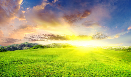 Wallpaper Green Grass Field Under Blue Sky and White Clouds During Daytime, Background Free Image