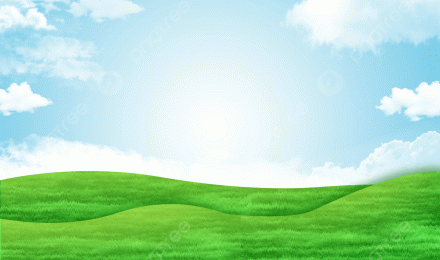 Sky Green Grass Background, Baiyun, Green, Grass Background Image And Wallpaper for Free Download