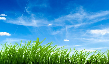 Grass And Sky Wallpaper