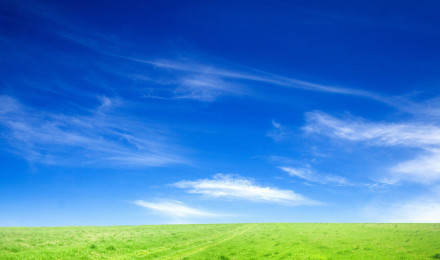 Blue Sky And Green Grass Wallpaper [1920x1200]