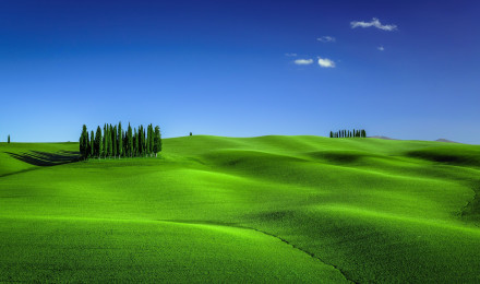 Grass and Sky Wallpaper (image inside)