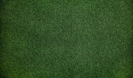 Grass Background, HD Abstract, 4k Wallpaper, Image, Background, Photo and Picture