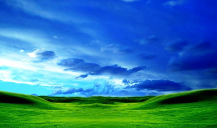 Free download Green Meadow Landscape photo of Beautiful Green Grass Wallpaper [1024x768] for your Desktop, Mobile & Tablet. Explore Green Green Meadow Wallpaper. Green Background, Green Wallpaper, Background Green