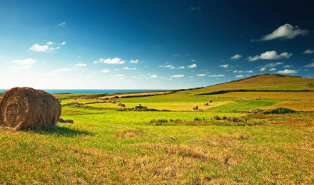 Wallpaper Meadows, 5k, 4k wallpaper, hay, sky, clouds, grass, Nature