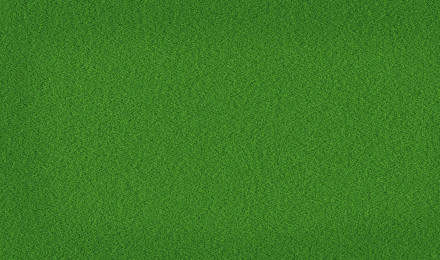 Green grass background wallpaper