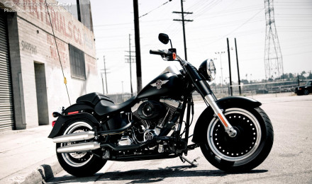 Harley Davidson Fat Boy Wallpaper