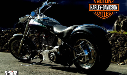 Download Harley Davidson With Big Wheel Wallpaper