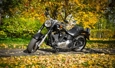 Download Harley Davidson Wallpaper