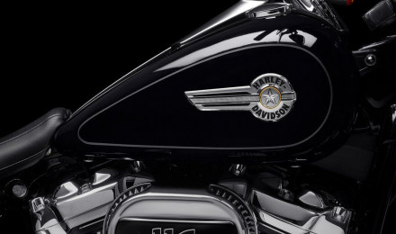 Fat Boy Motorcycle. Harley Davidson Europe