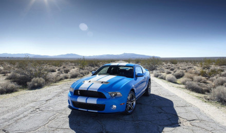 Shelby GT500 Super Snake Wallpaper