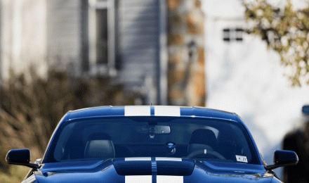 All wallpaper Lets See yours!. Ford Shelby GT500 Forum