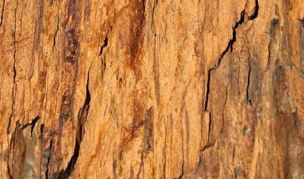 Shale Rock Close Hard Up Photo Background And Picture For Free Download