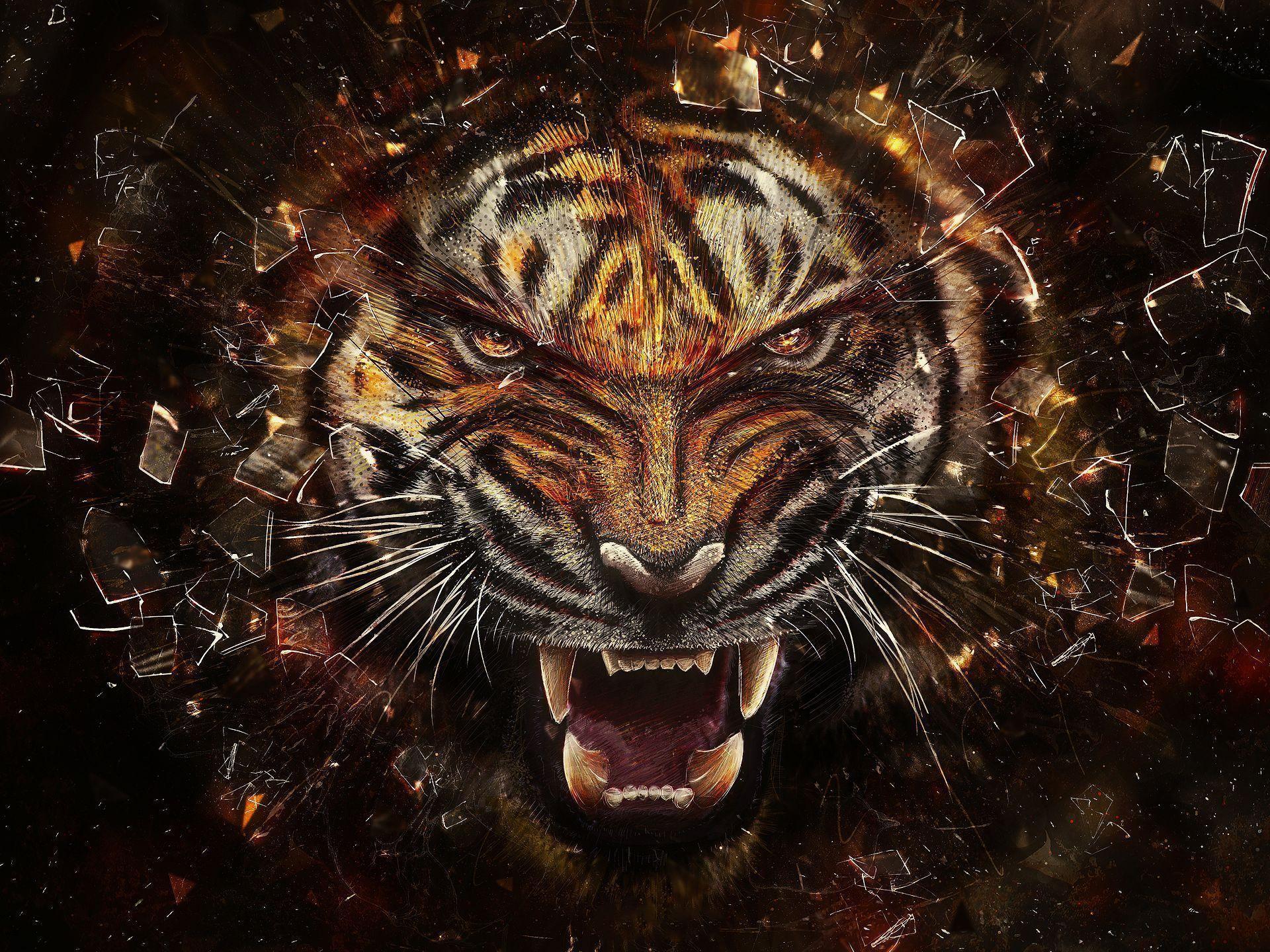 Cool Tiger Wallpaper - 