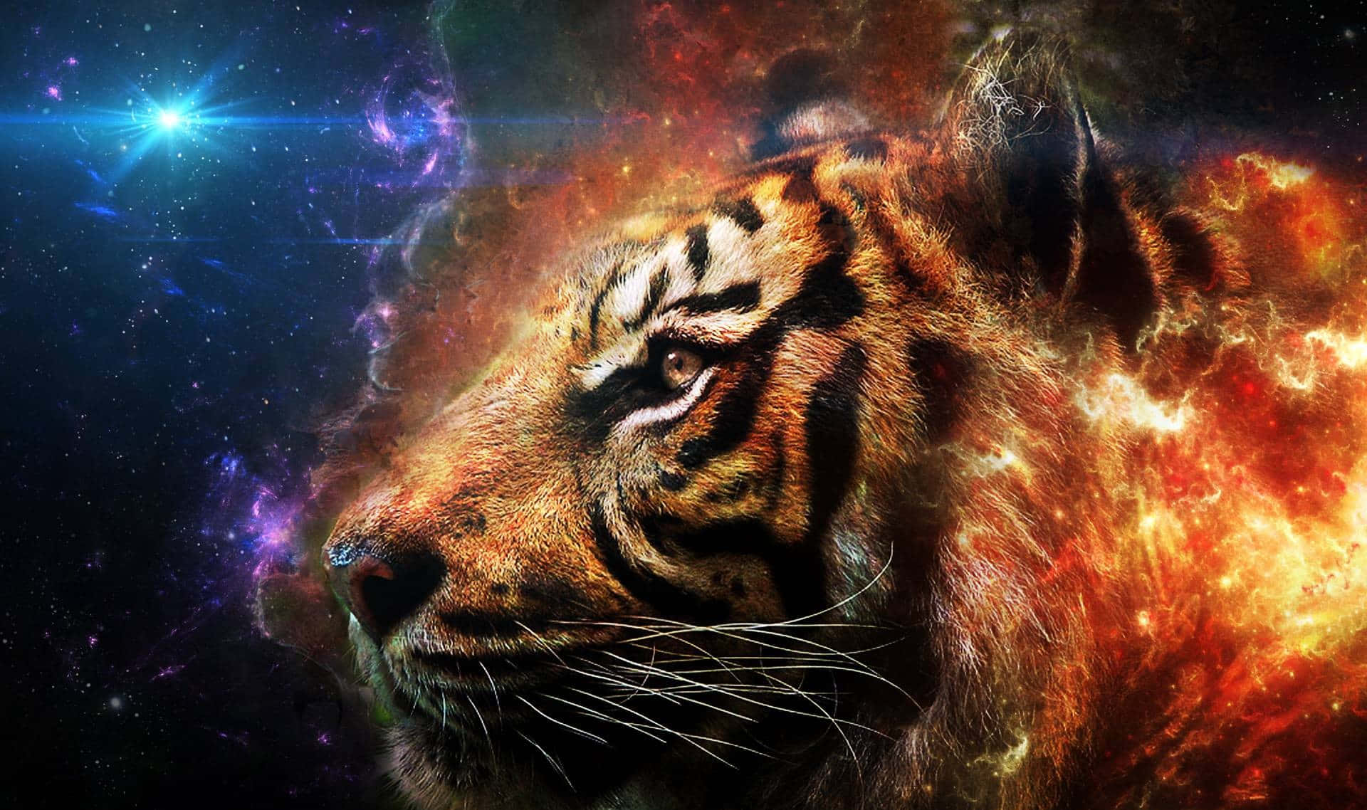 Tiger Galaxy Wallpaper - 