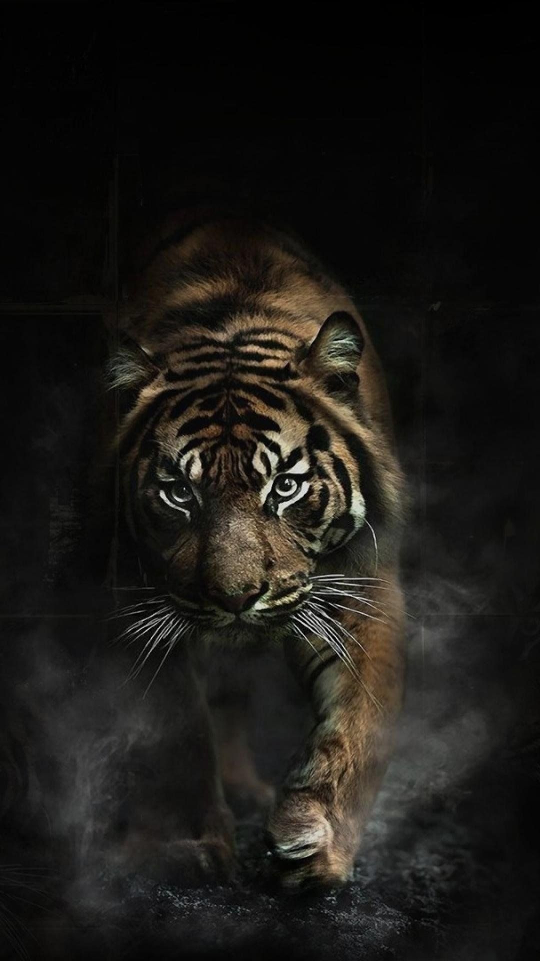 Angry tiger Wallpaper Download - 