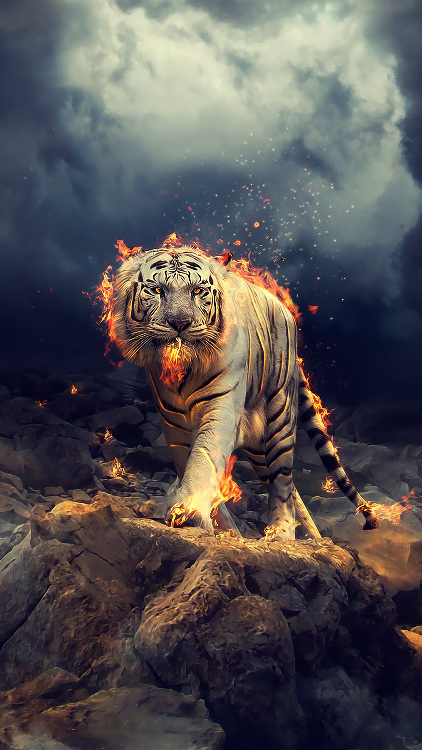 Tiger Wallpaper, HD Tiger Background, Free Image Download - 