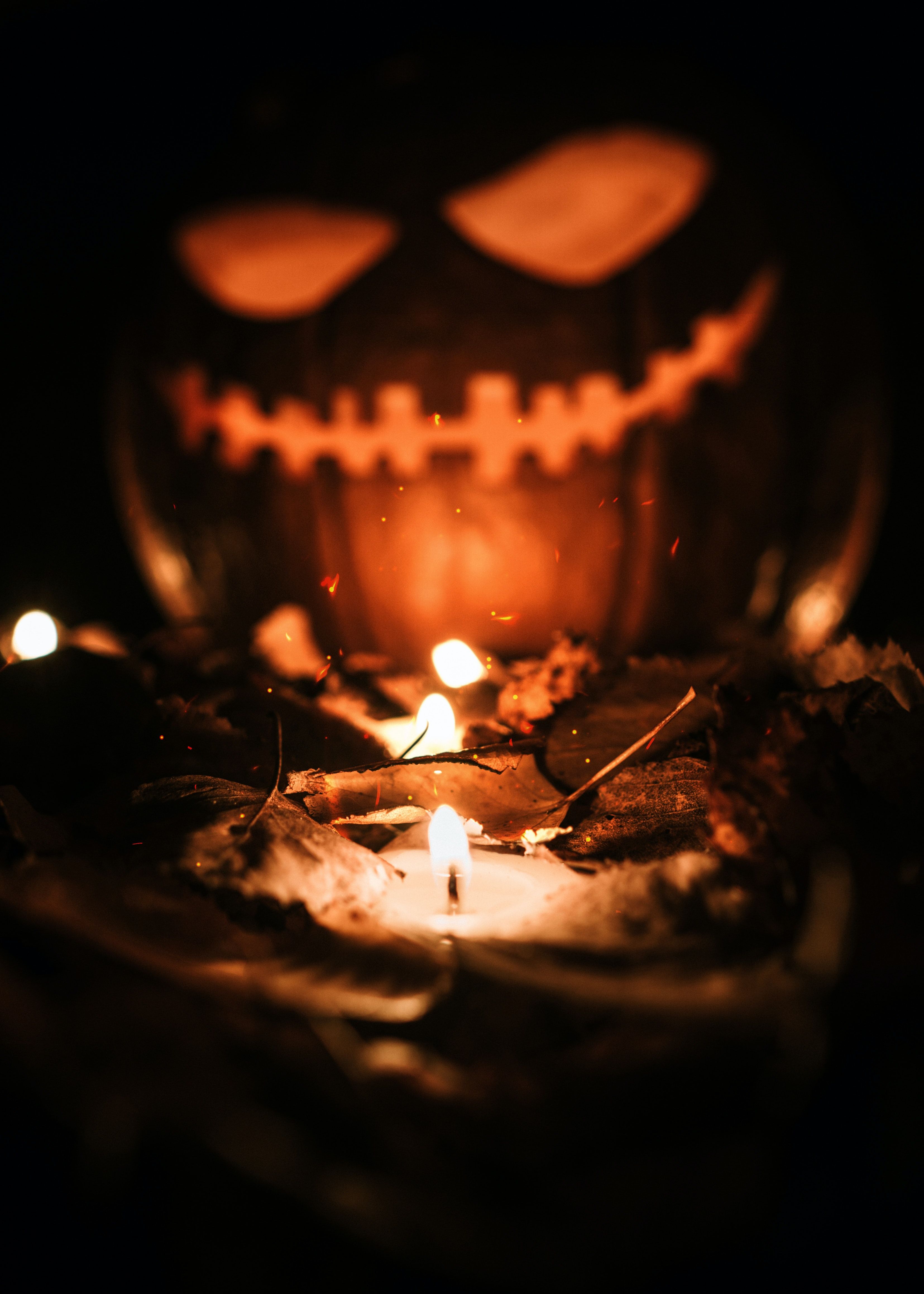 Halloween Background Photo, Download The BEST Free Halloween Background & HD Image