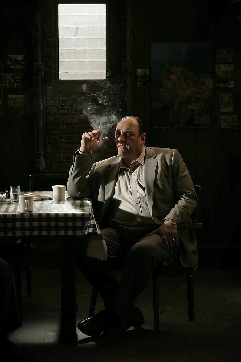 Tony soprano, james gandolfini, the sopranos, anthony soprano, HD phone wallpaper