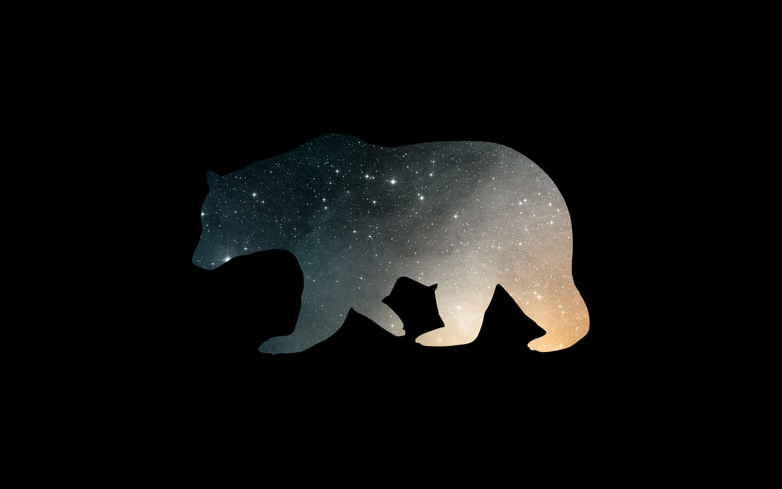 Minimal Bear Wallpaper [2560x1600]. Bear wallpaper, HD wallpaper, High quality wallpaper - 