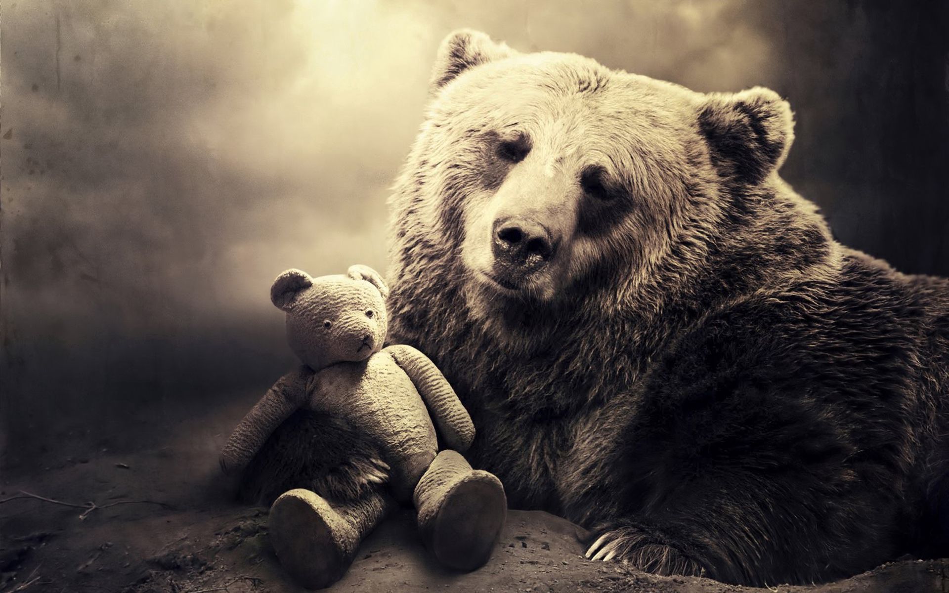 Download Bear wallpaper for mobile phone, free Bear HD picture - 